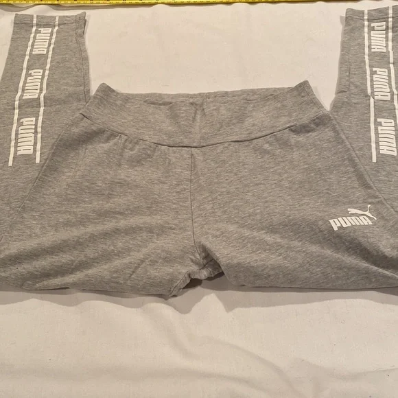 Puma capris - Picture 2 of 6